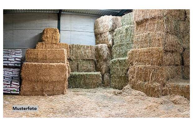 Jagd- und Forstwirtschaft kaufen in 8523 Frauental (Bild 1)