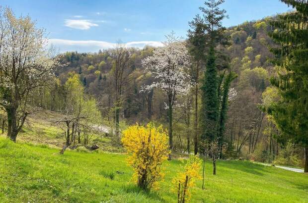 Grundstück kaufen in 8462 Kranach (Bild 1)