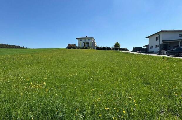 Grundstück kaufen in 4674 Altenhof (Bild 2)