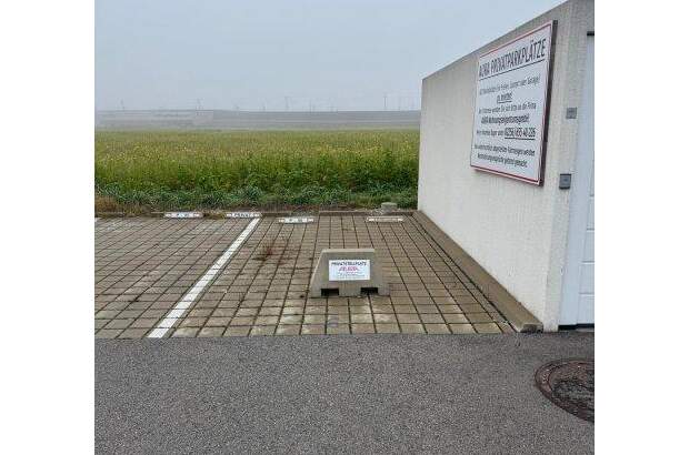 Halle / Lager / Produktion mieten in 2442 Unterwaltersdorf (Bild 4)