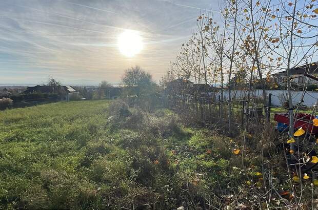 Grundstück kaufen in 7100 Neusiedl (Bild 1)