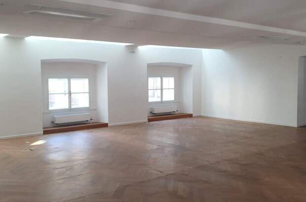 Gewerbeobjekt mieten in 1010 Wien (Bild 1)