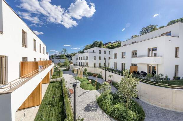 Wohnung kaufen in 3500 Krems (Bild 1)