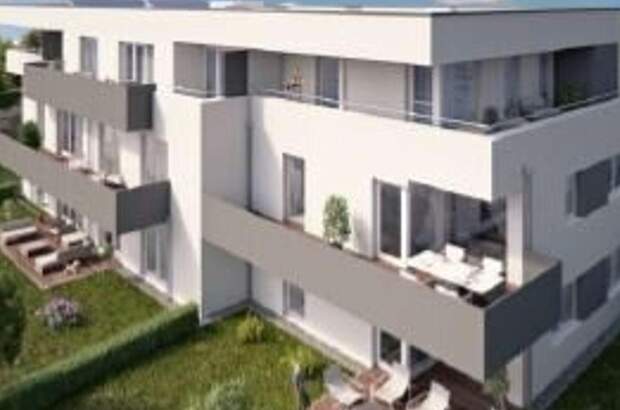 Immobilie kaufen in 4491 Niederneukirchen (Bild 1)