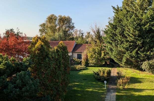 Haus mit Garten kaufen in 7163 Andau (Bild 2)