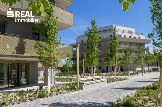 Terrassenwohnung kaufen in 1210 Wien (Bild 4)