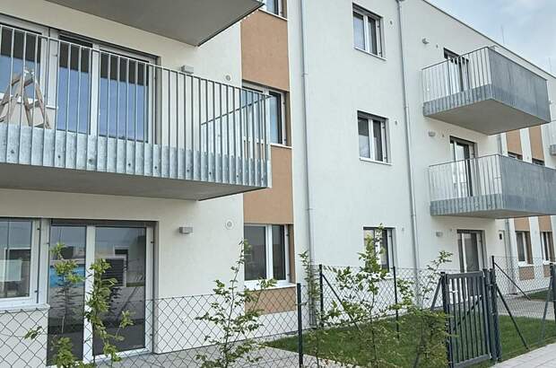 Terrassenwohnung mieten in 2700 Wr. Neustadt (Bild 3)