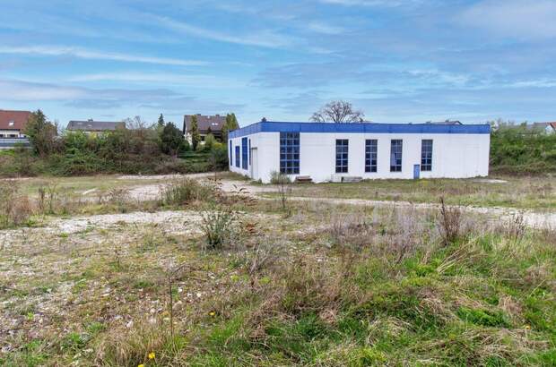 Gewerbeobjekt mieten in 4482 Ennsdorf (Bild 2)