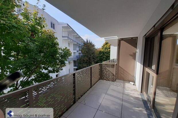 Terrassenwohnung mieten in 1230 Wien (Bild 2)