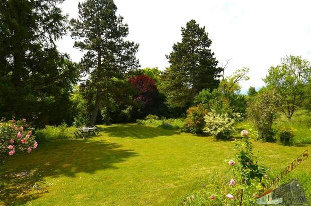 Grundstück kaufen in 2721 Bad Fischau (Bild 5)