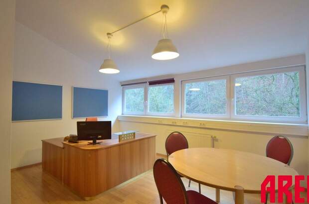 Gewerbeobjekt mieten in 4040 Linz (Bild 1)