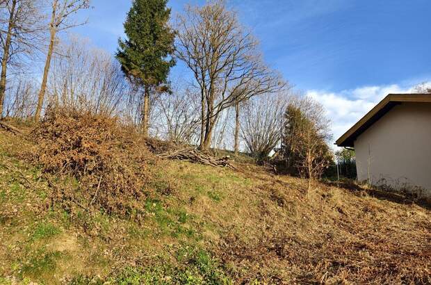 Grundstück kaufen in 8605 Kapfenberg (Bild 5)