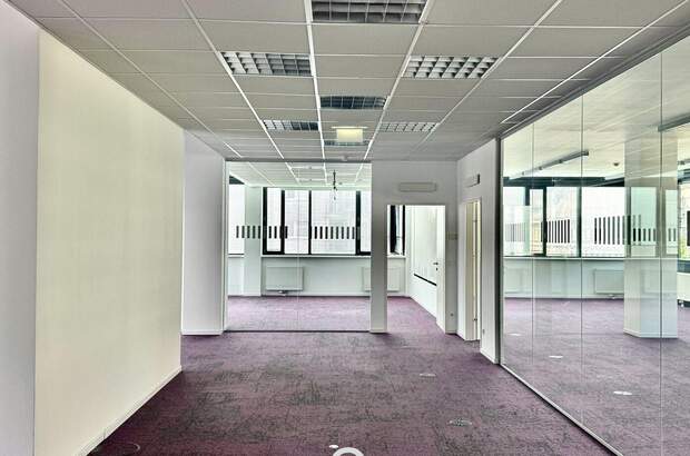 Gewerbeobjekt mieten in 1200 Wien (Bild 3)