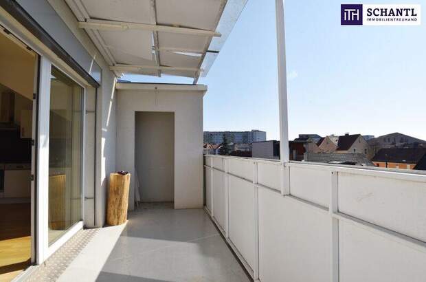 Terrassenwohnung mieten in 8020 Graz (Bild 3)