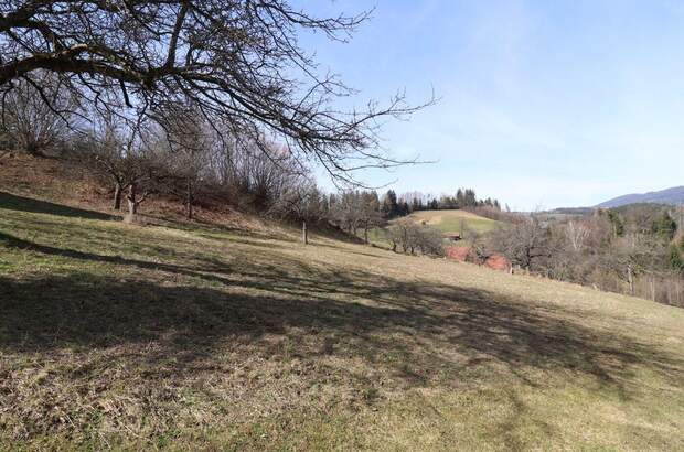 Grundstück kaufen in 8591 Maria Lankowitz (Bild 2)