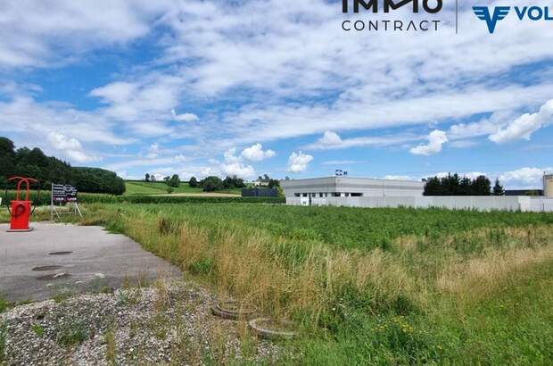 Gewerbeobjekt mieten in 3331 Kematen (Bild 4)