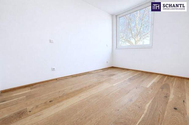 Terrassenwohnung kaufen in 2514 Traiskirchen (Bild 3)