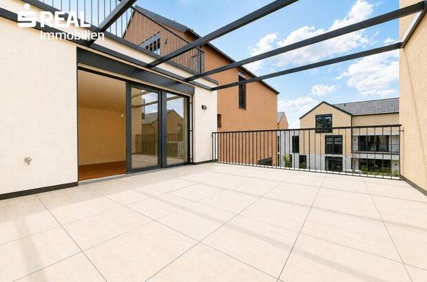 Terrassenwohnung mieten in 2020 Hollabrunn (Bild 1)