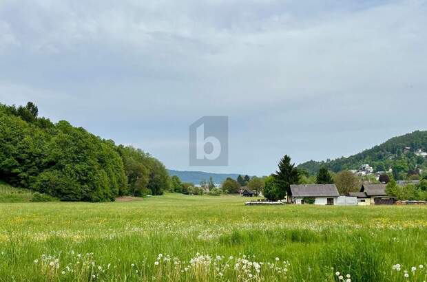 Grundstück kaufen in 9081 Reifnitz (Bild 1)