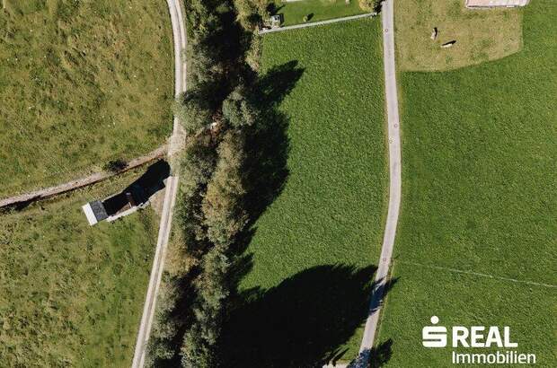 Grundstück kaufen in 6675 Tannheim (Bild 3)