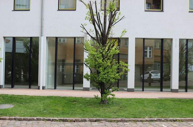 Gewerbeobjekt mieten in 6020 Innsbruck (Bild 1)