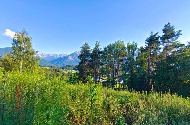 Grundstück kaufen in 9161 Maria Rain (Bild 3)