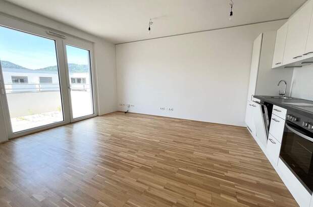 Terrassenwohnung mieten in 8020 Graz (Bild 1)