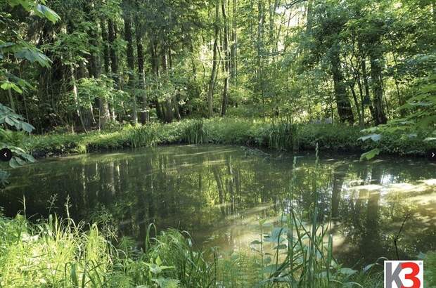Haus mit Garten kaufen in 83236 Übersee (Bild 2)