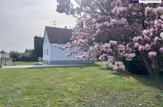 Einfamilienhaus kaufen in 7361 Strebersdorf (Bild 2)