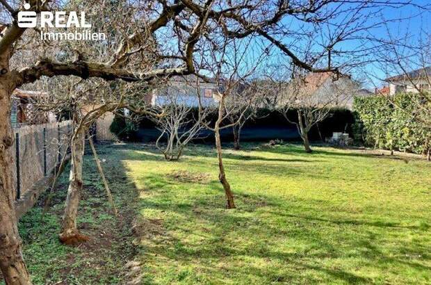 Einfamilienhaus kaufen in 1230 Wien (Bild 5)