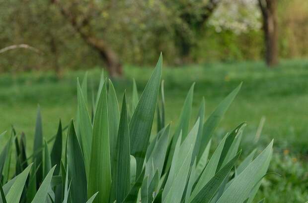 Haus mit Garten kaufen in 4622 Eggendorf (Bild 3)
