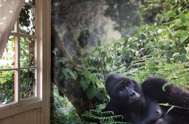 Mietwohnung in 1160 Wien (Bild 1)