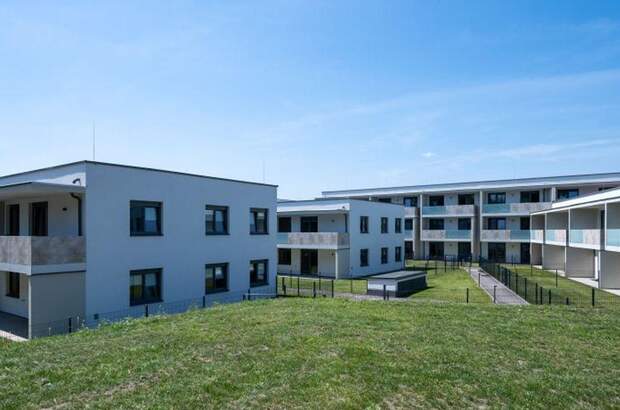 Wohnung mieten in 2700 Wiener Neustadt