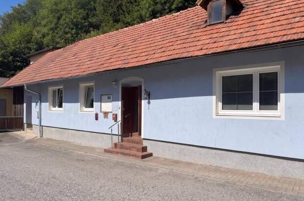 Haus kaufen in 2831 Warth