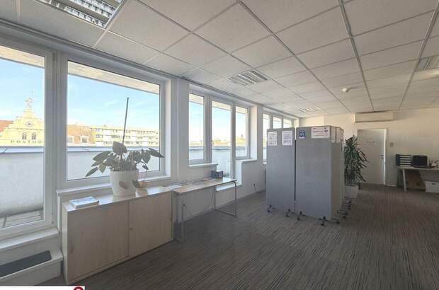 Gewerbeobjekt mieten in 2340 Mödling (Bild 3)