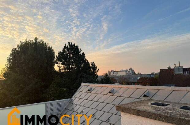 Terrassenwohnung mieten in 1190 Wien (Bild 3)