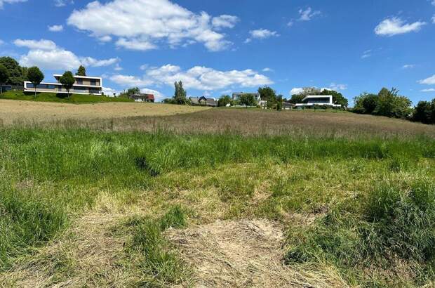 Grundstück kaufen in 8413 Sankt Georgen (Bild 4)