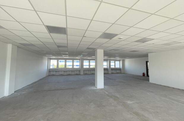 Gewerbeobjekt mieten in 2351 Wiener Neudorf (Bild 3)