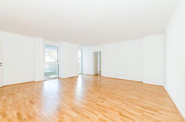 Terrassenwohnung mieten in 1060 Wien (Bild 5)