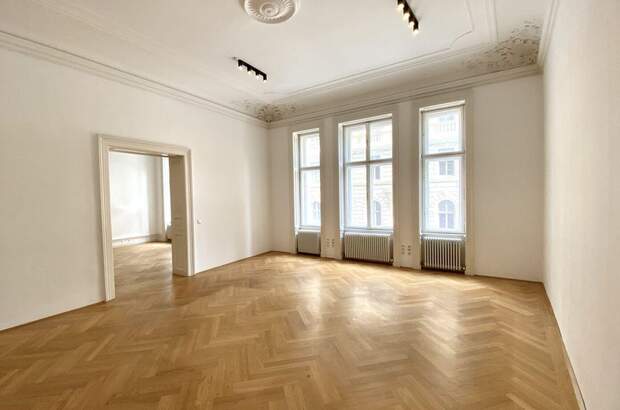 Gewerbeobjekt mieten in 1090 Wien (Bild 4)