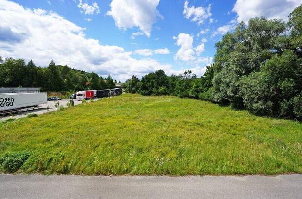 Grundstück kaufen in 3013 Pressbaum (Bild 4)