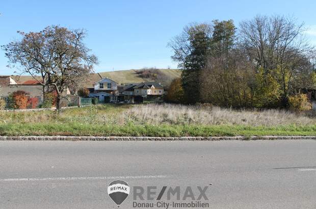 Grundstück kaufen in 2116 Nodendorf (Bild 4)