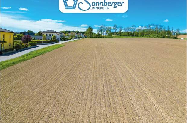 Grundstück kaufen in 4483 Hargelsberg (Bild 3)