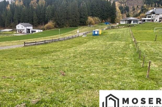 Grundstück kaufen in 8831 Niederwölz (Bild 3)