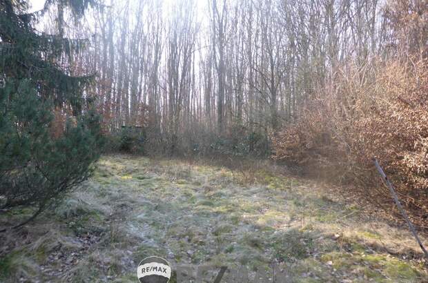 Grundstück kaufen in 3001 Mauerbach (Bild 4)