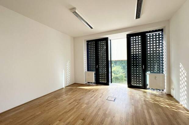 Gewerbeobjekt mieten in 4600 Wels (Bild 3)