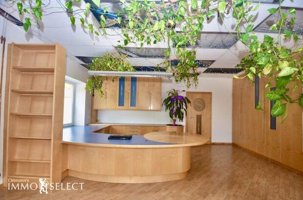 Büro / Praxis mieten in 3374 Säusenstein (Bild 1)