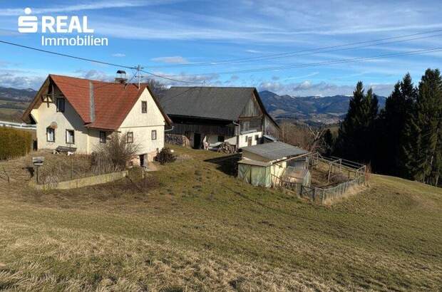Haus kaufen in 8162 Plenzengreith (Bild 4)