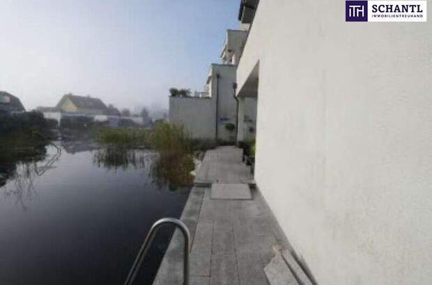 Haus kaufen in 8073 Feldkirchen (Bild 5)