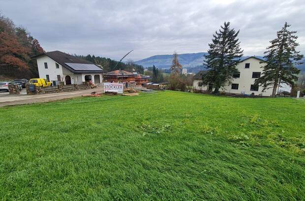 Grundstück kaufen in 4441 Behamberg (Bild 1)